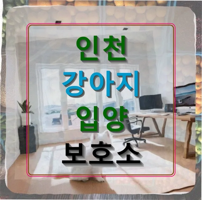 인천 포메라니안 입양 후기: 직장인 털 관리 및 비용 솔직 후기