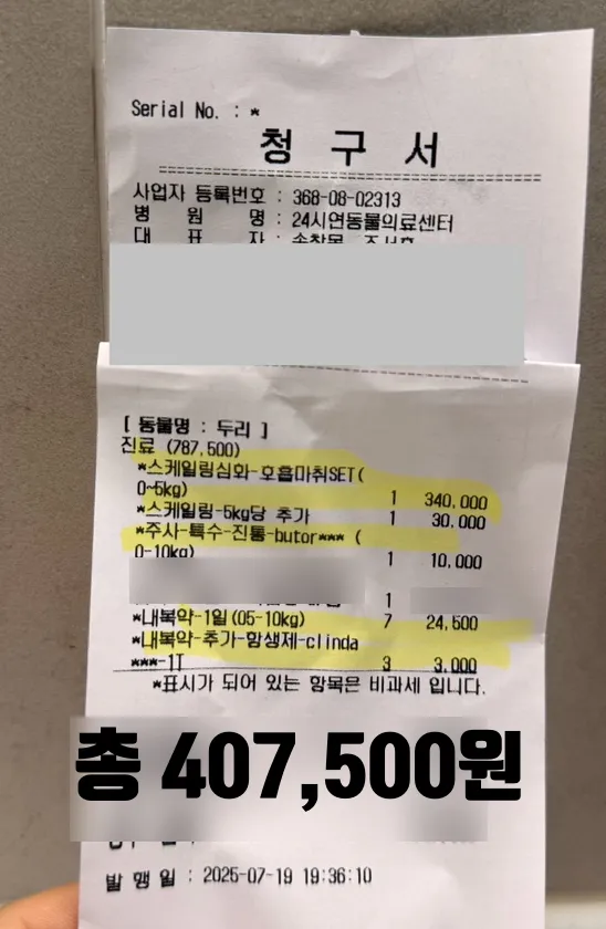 강아지 스케일링 비용, 회복 기간 및 주의사항 완벽 정리 — 사진 2