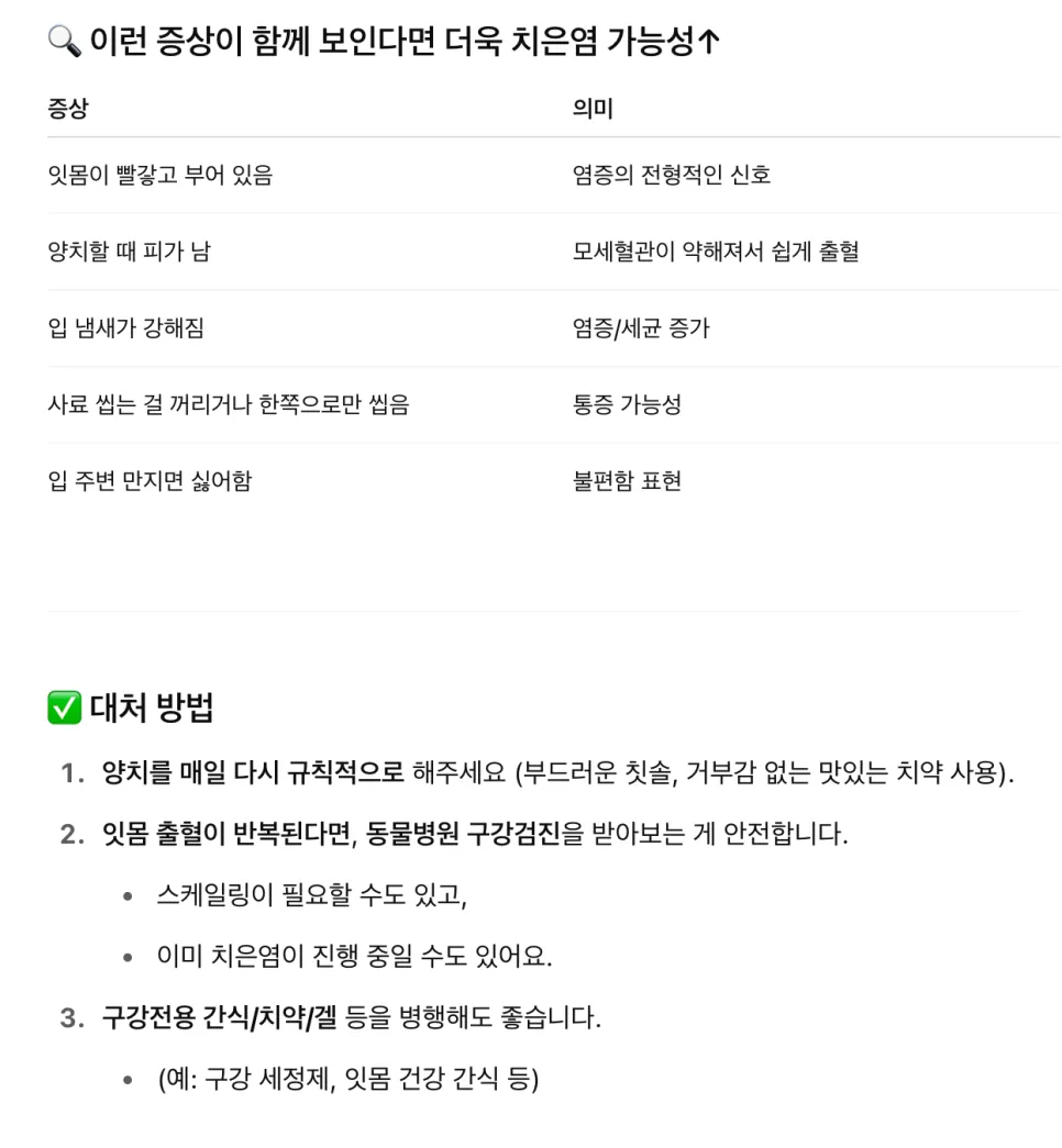 강아지 스케일링 비용, 회복 기간 및 주의사항 완벽 정리 — 사진 8