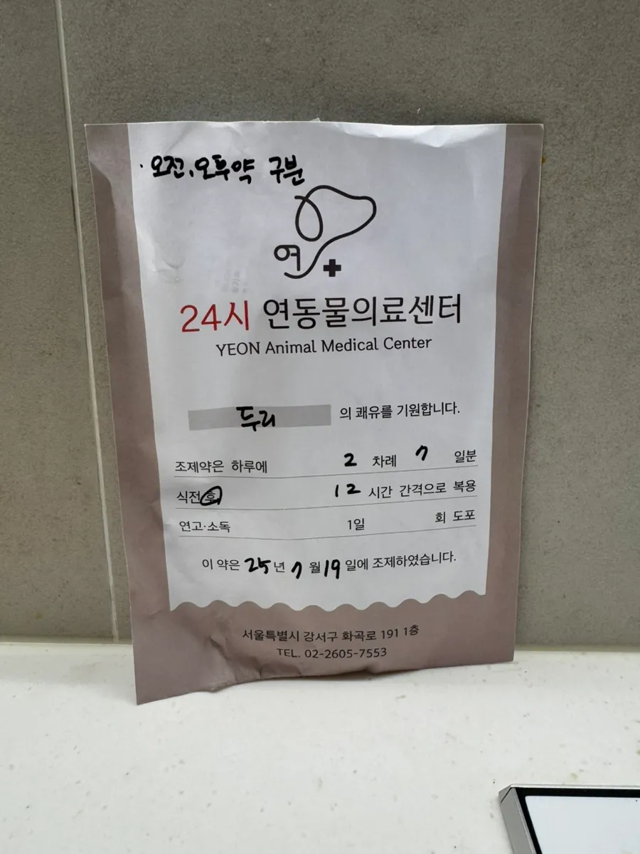 강아지 스케일링 비용, 회복 기간 및 주의사항 완벽 정리 — 사진 14