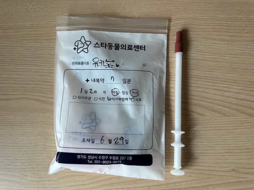 암컷 고양이 중성화 수술 후기: 3일간의 회복 과정 및 비용 — 사진 18