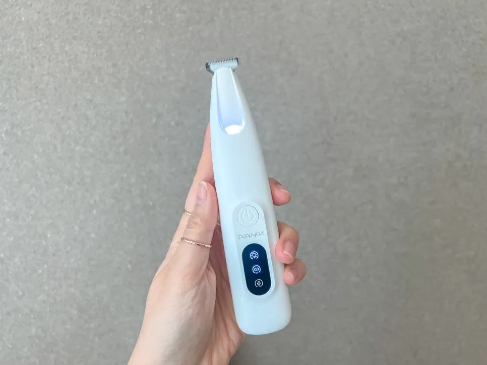 말티즈 셀프 미용: 퍼피컷 P2 클리퍼로 발바닥·눈가 털 관리 — 사진 11
