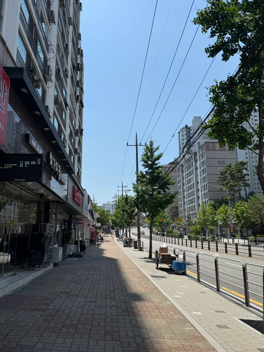 강아지 스케일링·발치, 아이사랑동물병원 보험 청구 후기 — 사진 2