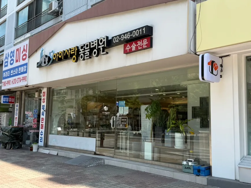 강아지 스케일링·발치, 아이사랑동물병원 보험 청구 후기 — 사진 3
