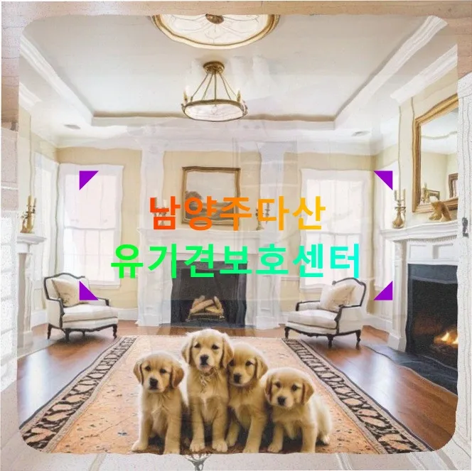 남양주 유기견 입양 상담: 맞벌이 부부의 준비와 비용