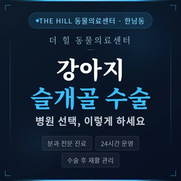 용산 강아지 슬개골 수술, 더힐동물의료센터 경험 후기