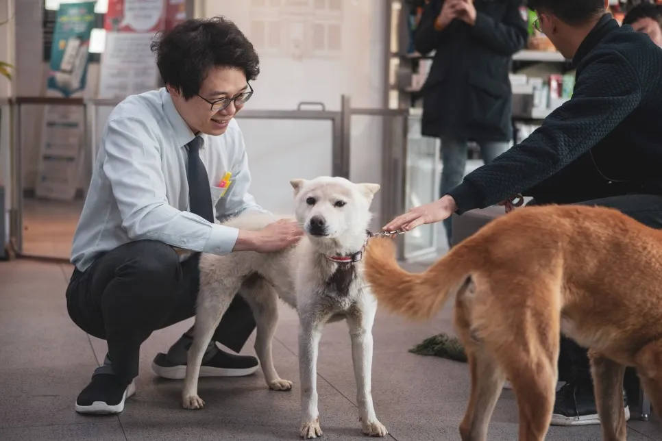 용산 강아지 슬개골 수술, 더힐동물의료센터 경험 후기 — 사진 2