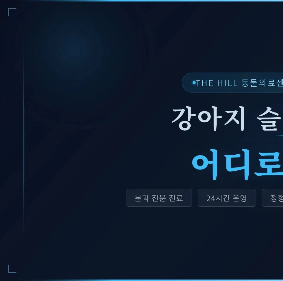 용산 강아지 슬개골 수술, 더힐동물의료센터 경험 후기 — 사진 3