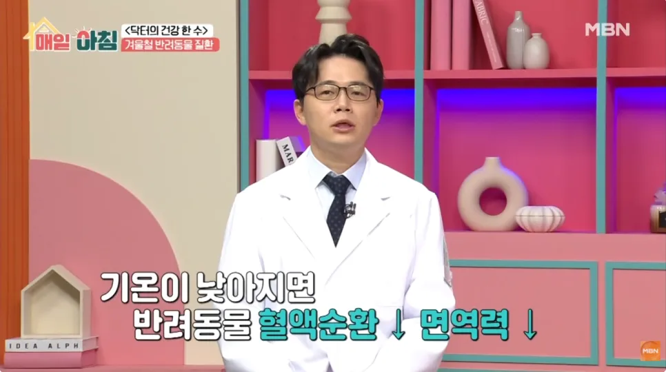 용산 강아지 슬개골 수술, 더힐동물의료센터 경험 후기 — 사진 7
