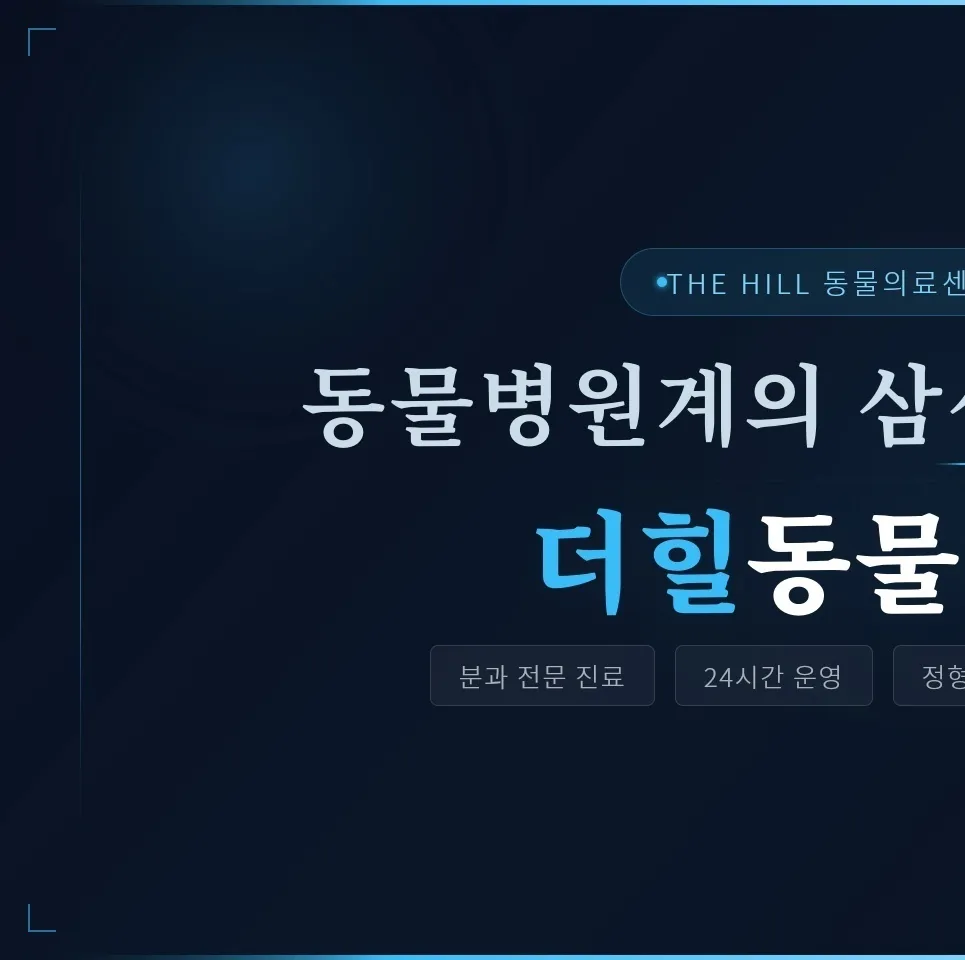 용산 강아지 슬개골 수술, 더힐동물의료센터 경험 후기 — 사진 8