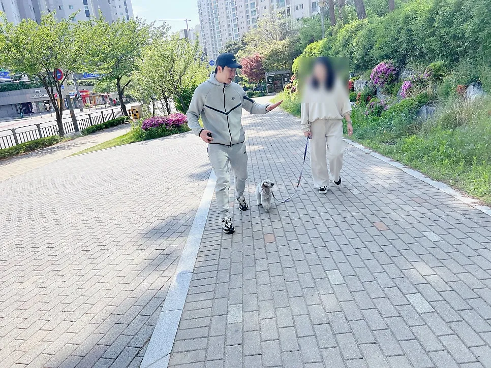 토이푸들 짖음·복종 훈련: 베럴독 조재호 훈련사 교육 후기 — 사진 7