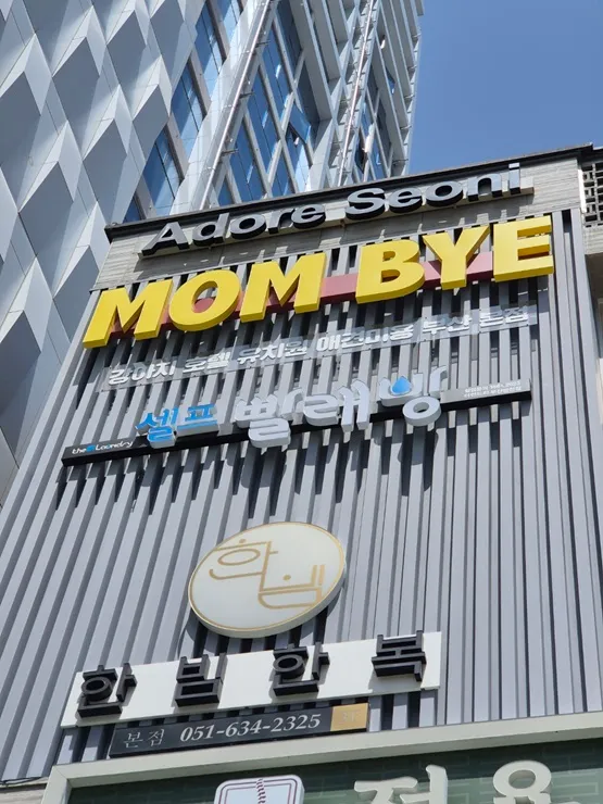 서면 강아지 유치원 맘바이 한 달 후기: 사회성·훈련 비용 — 사진 9