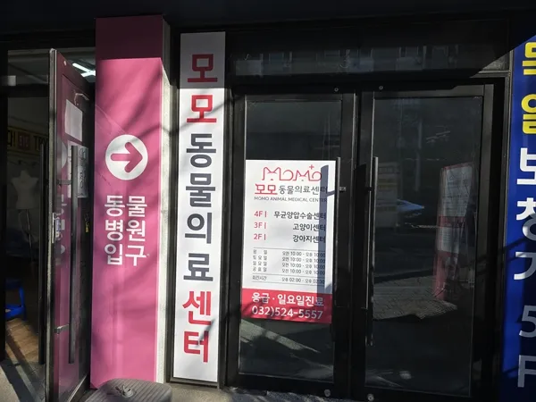 부평역동물병원 강아지 스케일링 첫 경험 후기 — 사진 2