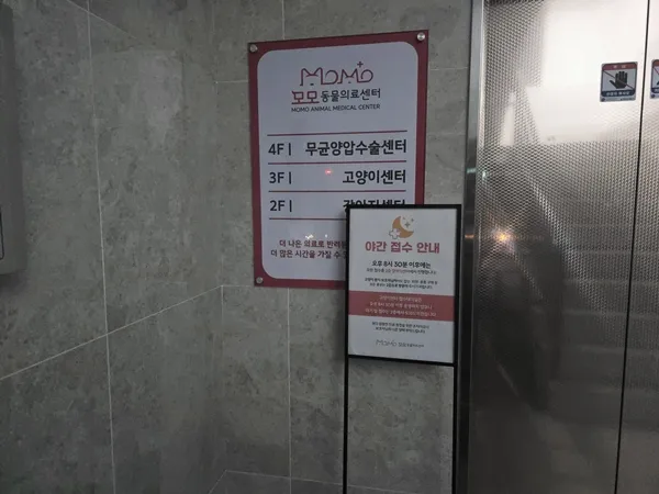 부평역동물병원 강아지 스케일링 첫 경험 후기 — 사진 3