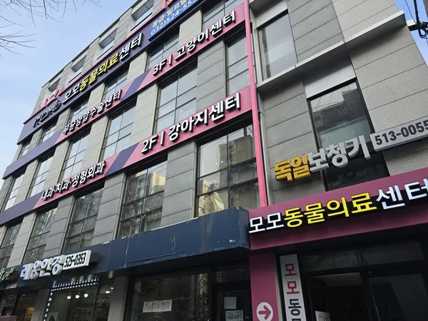 부평역동물병원 강아지 스케일링 첫 경험 후기 — 사진 6