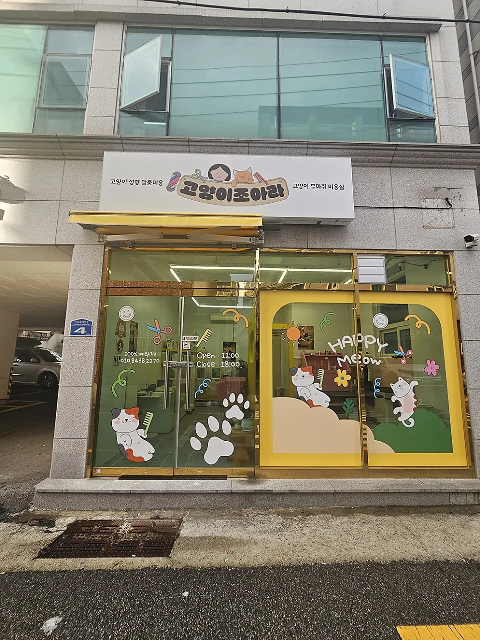 부산 고양이 미용, 조아라에서 첫 무마취 경험 후기 — 사진 2