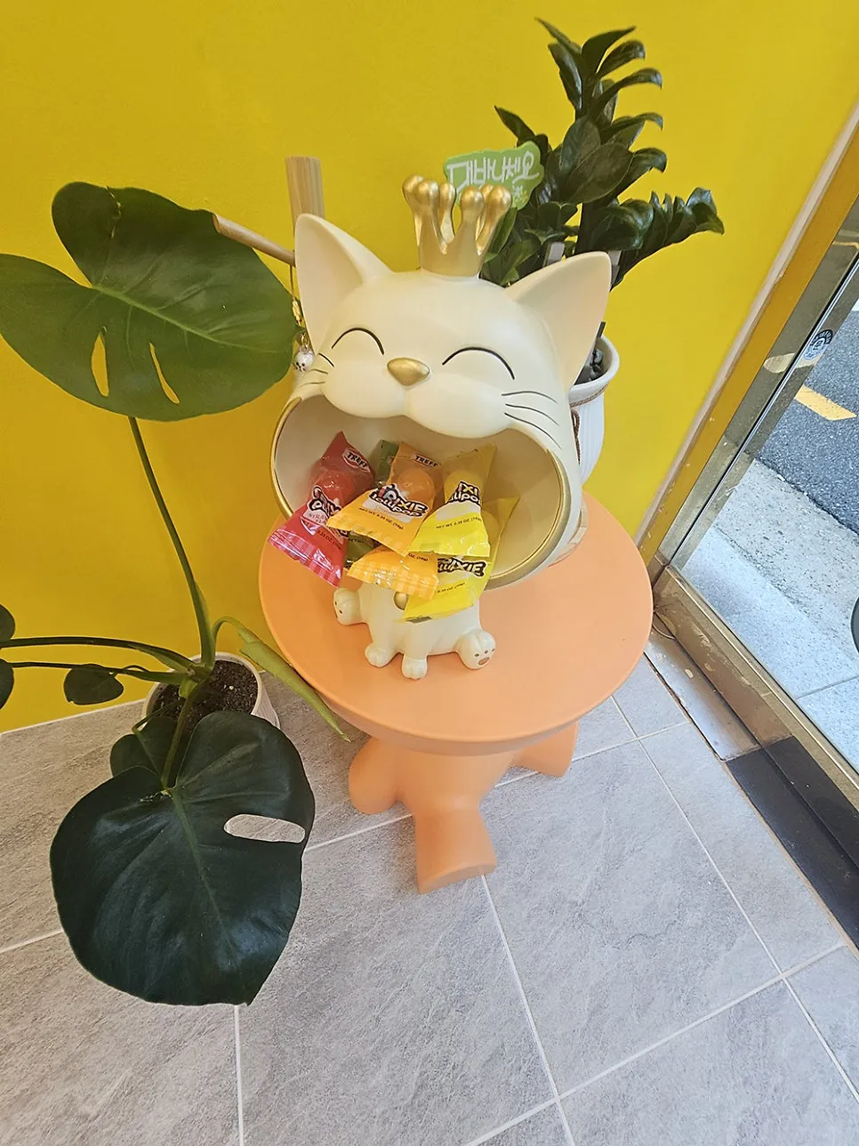 부산 고양이 미용, 조아라에서 첫 무마취 경험 후기 — 사진 6