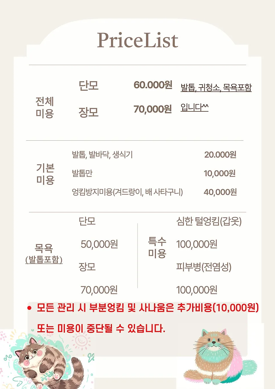부산 고양이 미용, 조아라에서 첫 무마취 경험 후기 — 사진 16