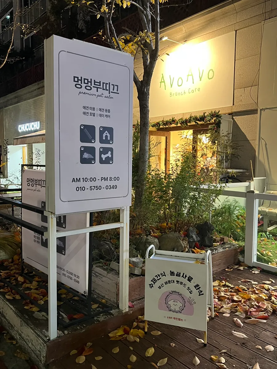 해운대 비숑 버블스파 미용 후기: 멍멍부띠끄 상세 안내 — 사진 3