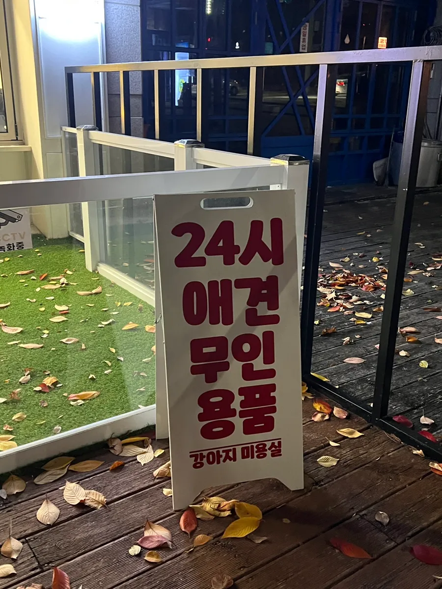해운대 비숑 버블스파 미용 후기: 멍멍부띠끄 상세 안내 — 사진 4