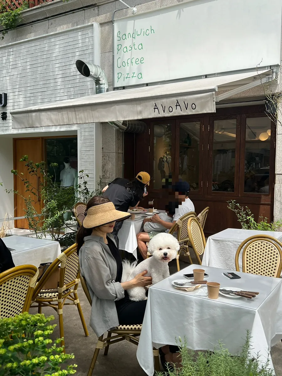 해운대 비숑 버블스파 미용 후기: 멍멍부띠끄 상세 안내 — 사진 5