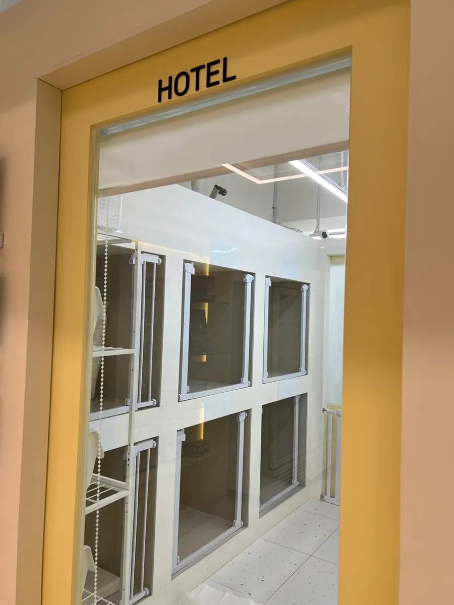 해운대 비숑 버블스파 미용 후기: 멍멍부띠끄 상세 안내 — 사진 18