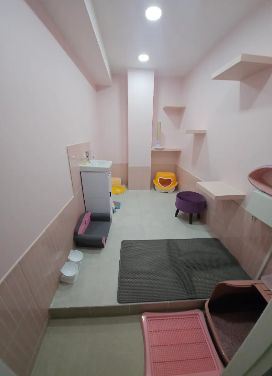 원주 고양이 호텔 추천: 강아지집 1박 3.5만원부터 — 사진 3