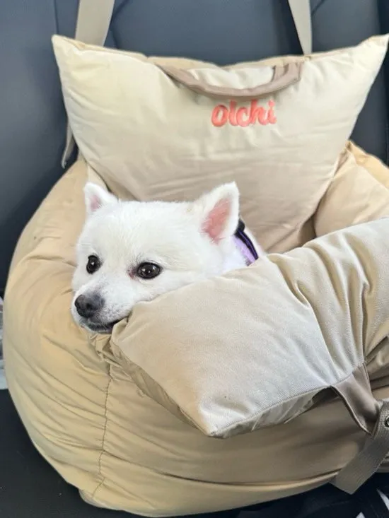대청호 근처 카페 샤를몽탁 / 롤라 강아지 동반 후기