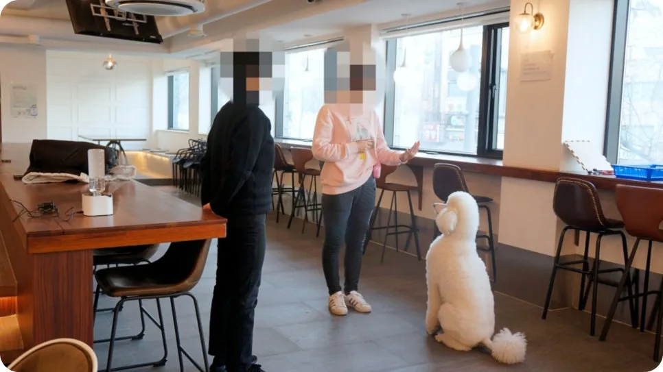강아지 분리불안 훈련, 보호자가 직접 배워 극복하는 법 — 사진 6