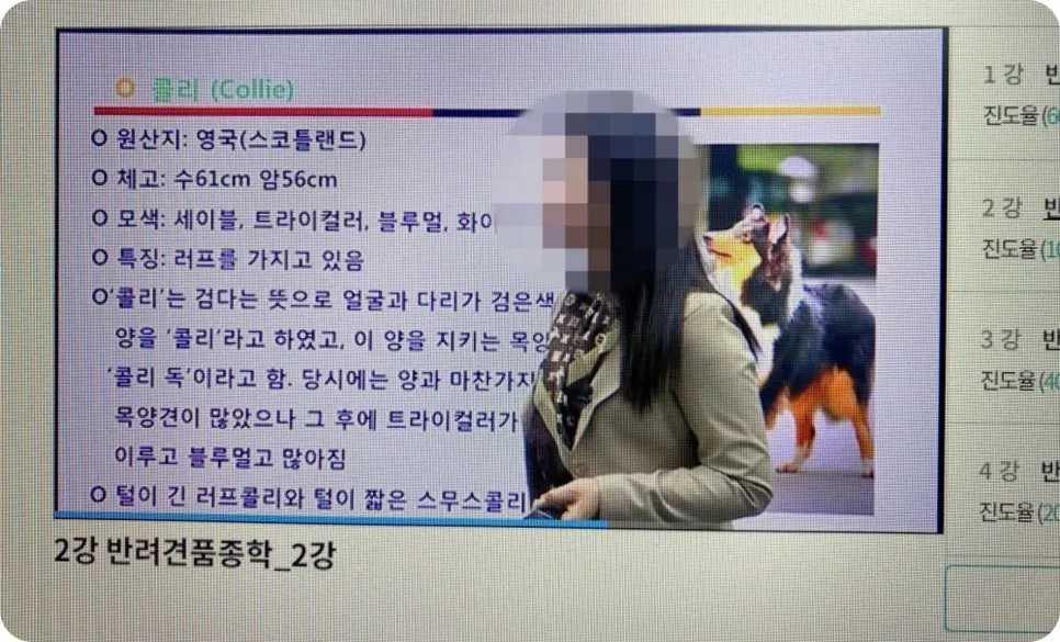 강아지 분리불안 훈련, 보호자가 직접 배워 극복하는 법 — 사진 11