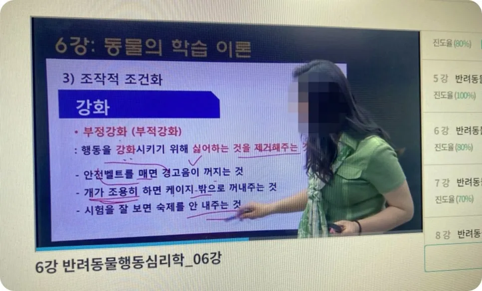 강아지 분리불안 훈련, 보호자가 직접 배워 극복하는 법 — 사진 12