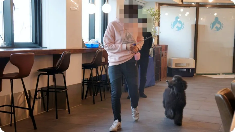 강아지 분리불안 훈련, 보호자가 직접 배워 극복하는 법 — 사진 16