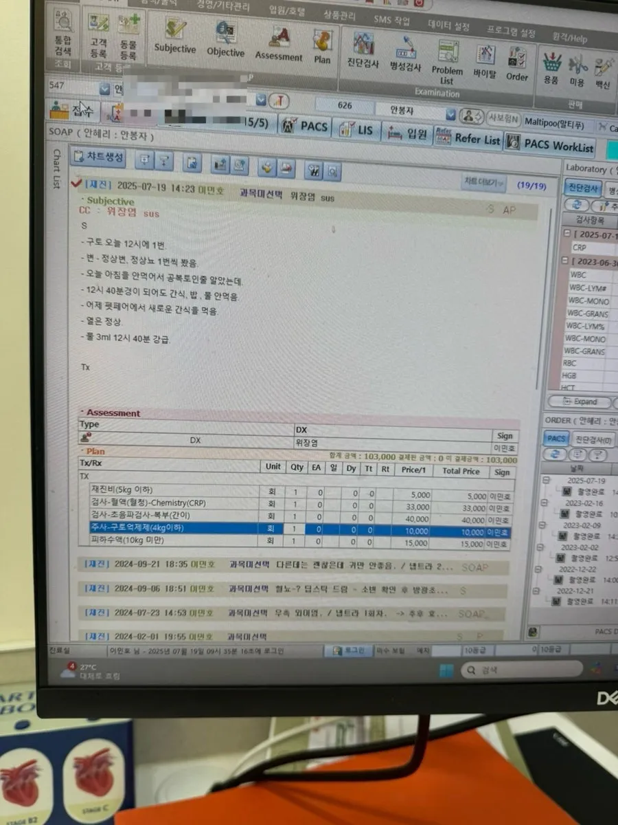 부평 온리동물병원 강아지 중성화 수술 및 장염 치료 후기 — 사진 8