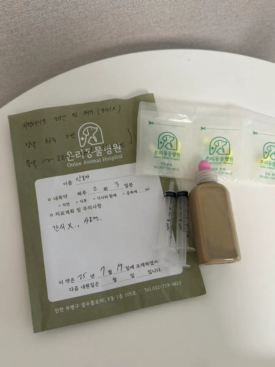 부평 온리동물병원 강아지 중성화 수술 및 장염 치료 후기 — 사진 9