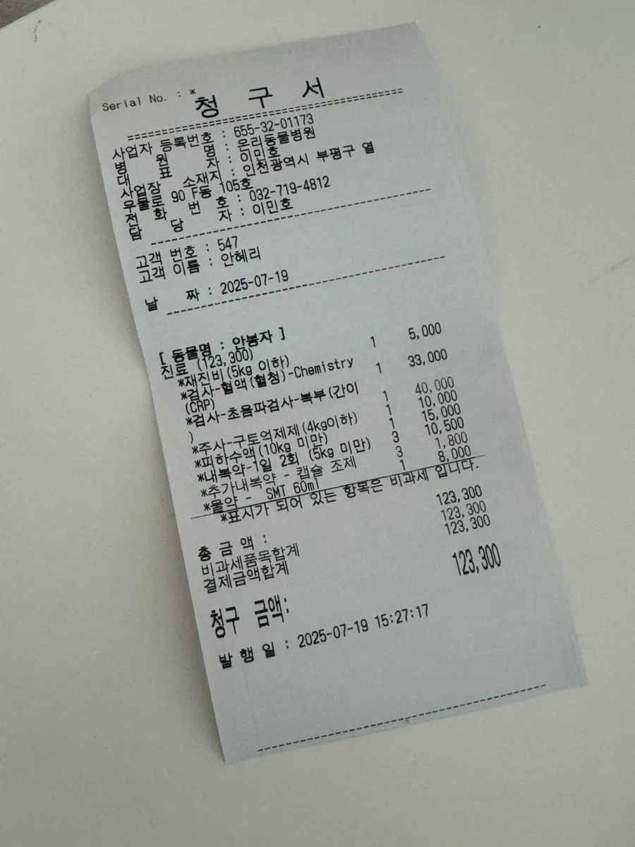 부평 온리동물병원 강아지 중성화 수술 및 장염 치료 후기 — 사진 10