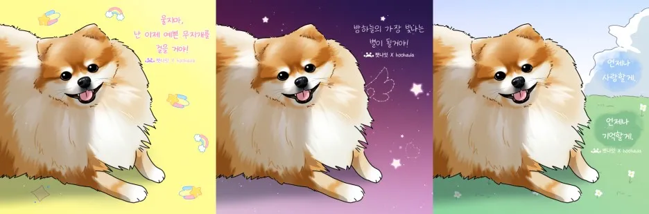 반려동물 장례식장 펫나잇: 강아지·고양이 장례 비용 비교 — 사진 7