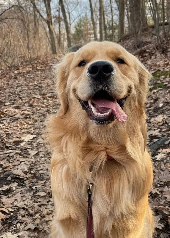 반려동물 장례식장 펫나잇: 강아지·고양이 장례 비용 비교 — 사진 11
