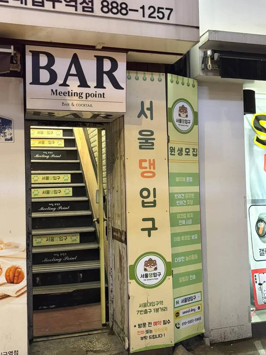 관악구 애견유치원 서울댕입구, 모카의 첫 등원 후기