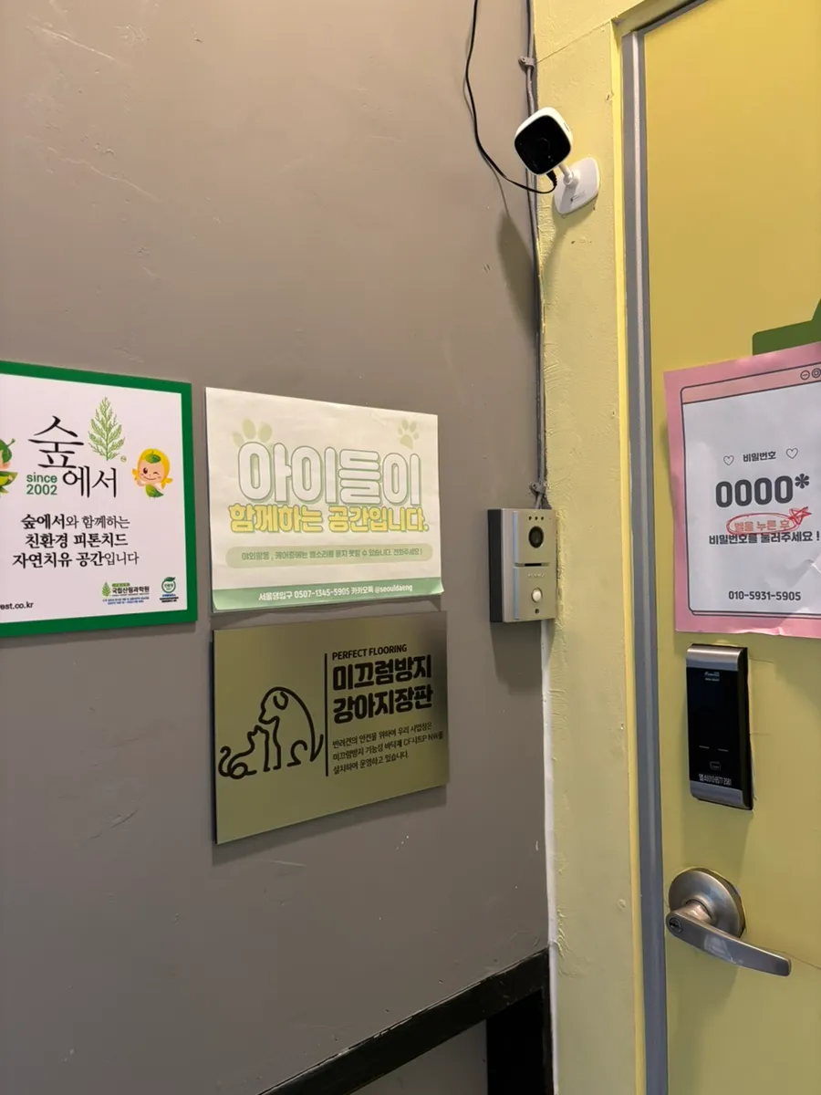 관악구 애견유치원 서울댕입구, 모카의 첫 등원 후기 — 사진 2