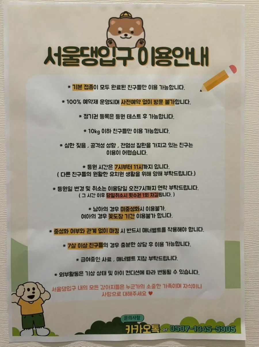 관악구 애견유치원 서울댕입구, 모카의 첫 등원 후기 — 사진 6