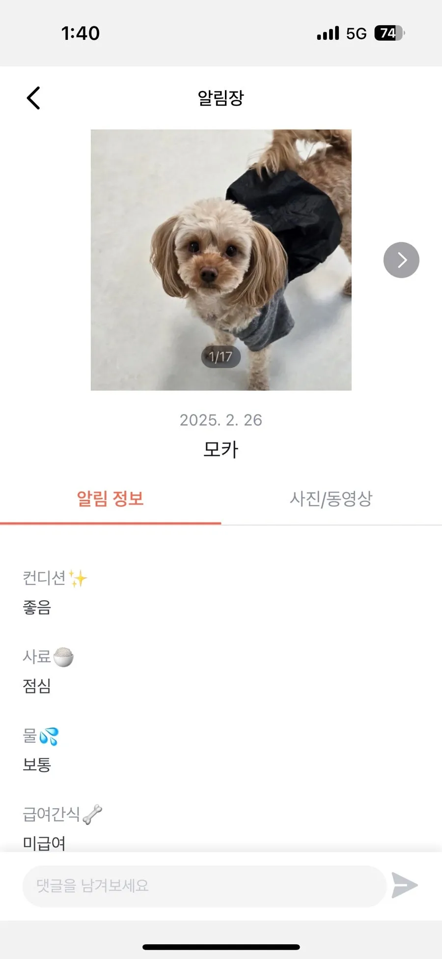 관악구 애견유치원 서울댕입구, 모카의 첫 등원 후기 — 사진 10