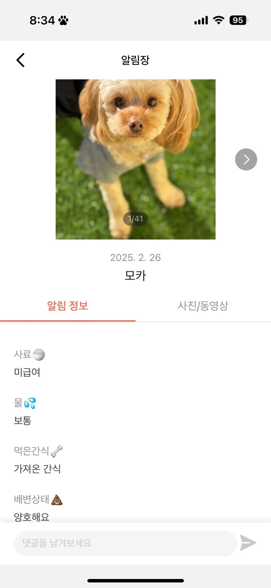 관악구 애견유치원 서울댕입구, 모카의 첫 등원 후기 — 사진 17