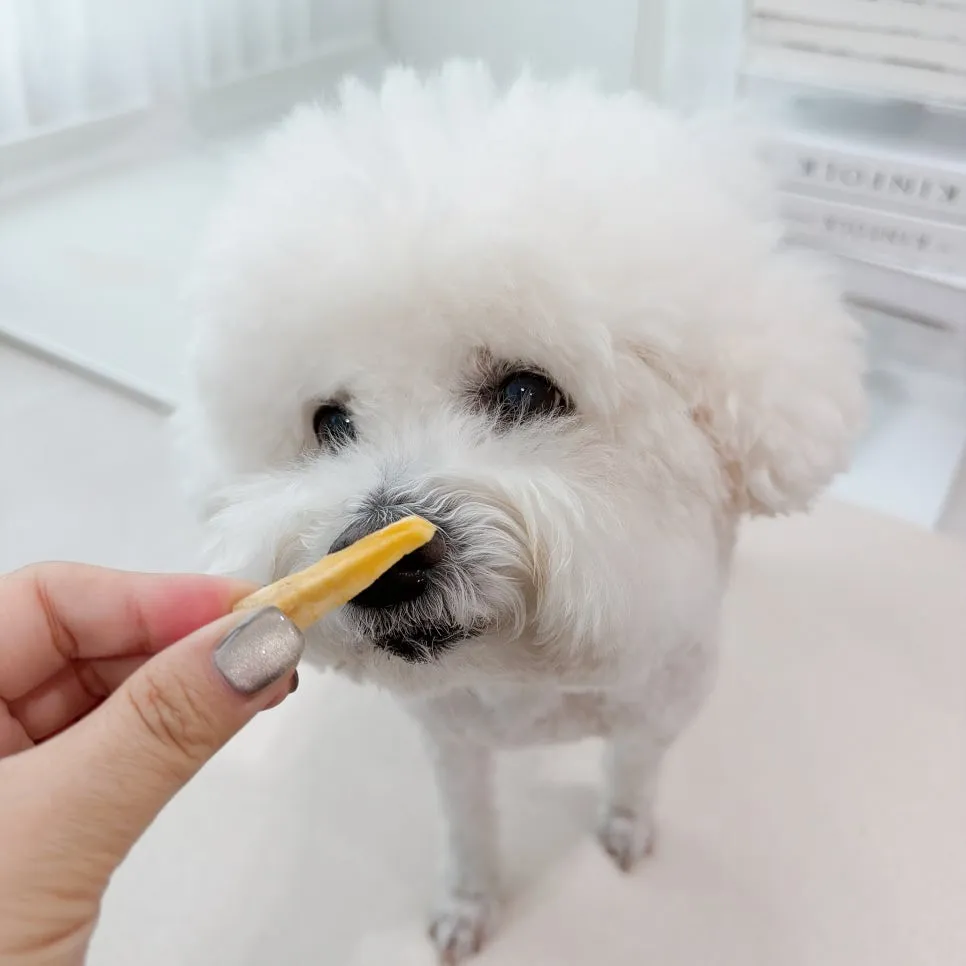 2개월 강아지 배변훈련, 독톡 배변판으로 간편하게 성공! — 사진 12