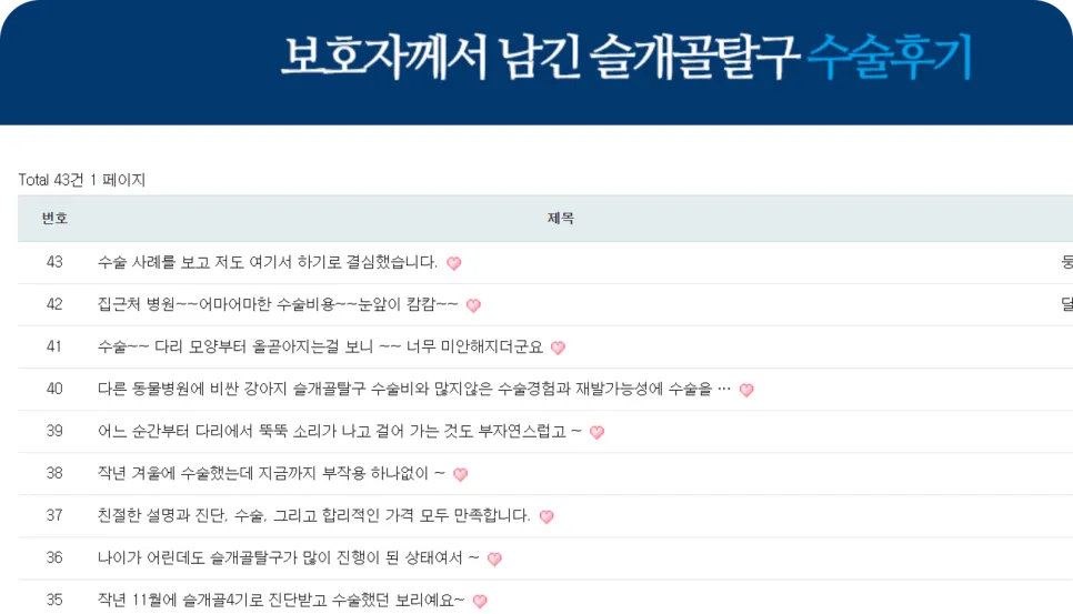 말티즈 슬개골탈구 수술, 20년 경력 원장님 비용 비교 — 사진 3