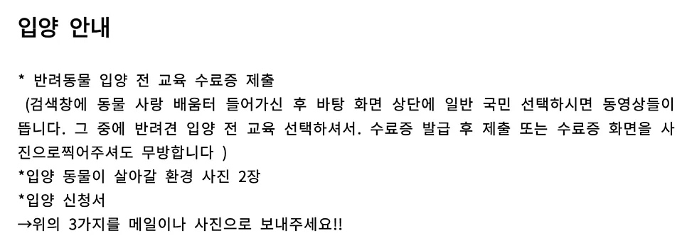 포인핸드 푸들 입양 후기: 새 가족 맞이 여정 — 사진 4