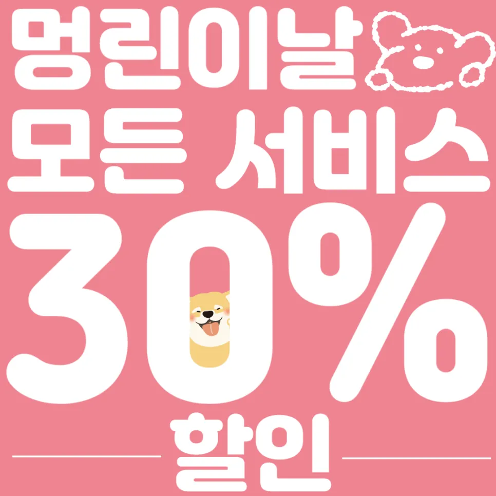 포메라니안 곰돌이컷 미용 & 호텔 후기 (강남) — 사진 3