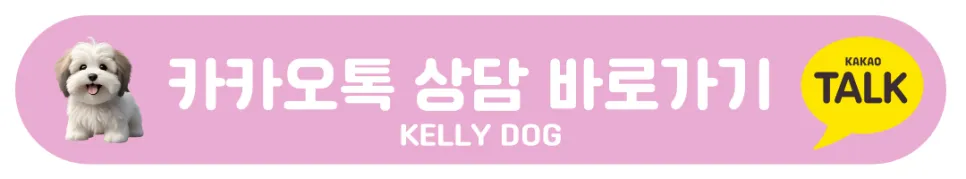 포메라니안 곰돌이컷 미용 & 호텔 후기 (강남) — 사진 11