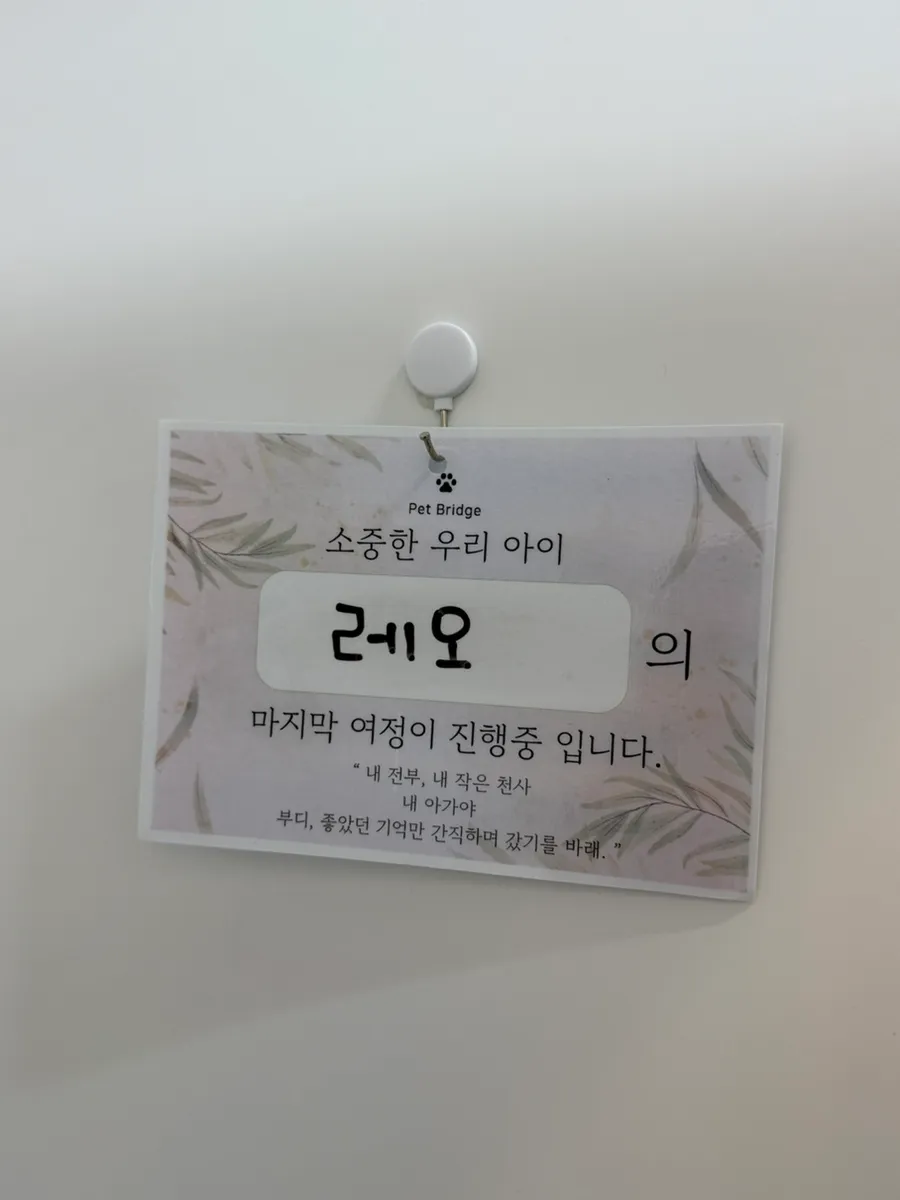 펫브릿지 안산점 강아지 장례 후기: 정성스러운 마지막 배웅