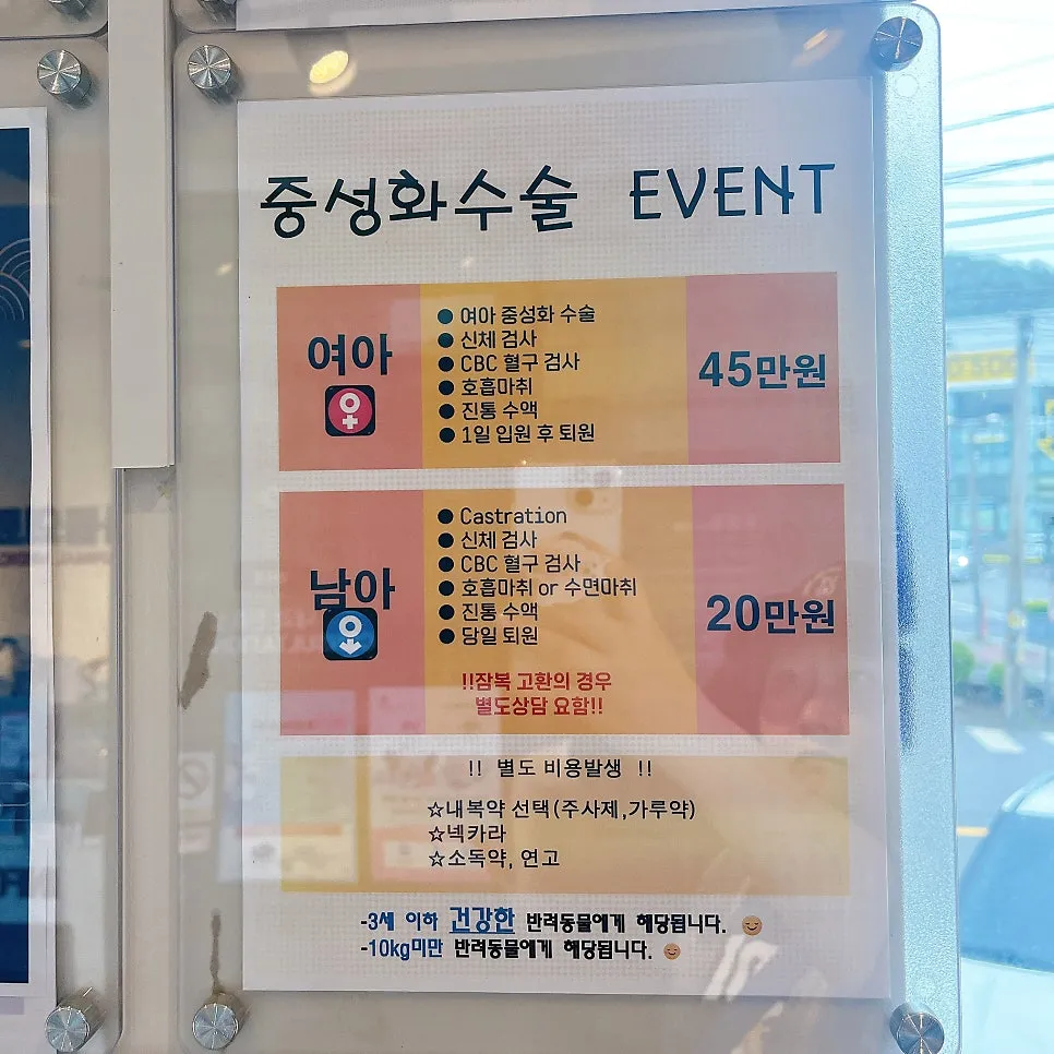 강아지 중성화 수술 비용, 이유, 장단점 및 후기 총정리 — 사진 2