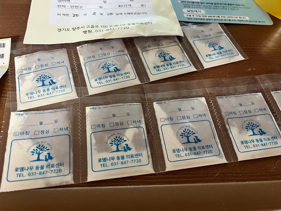 진도믹스 중성화 수술 비용, 시기, 회복 과정 완벽 가이드 — 사진 9